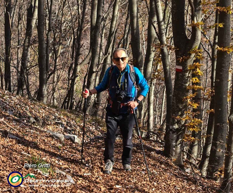 11 Sul sent. 234 colorato d'autunno.jpg